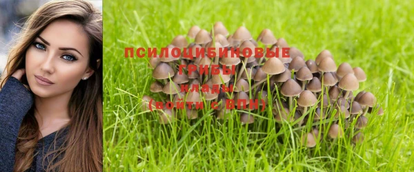 скорость Алзамай
