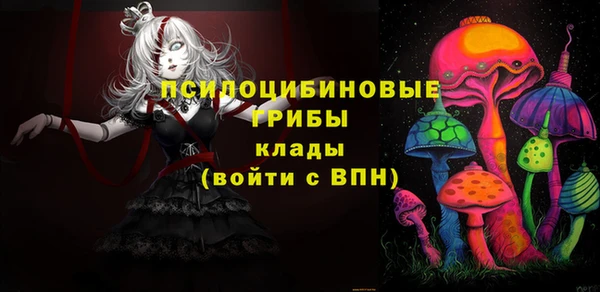 скорость Алзамай
