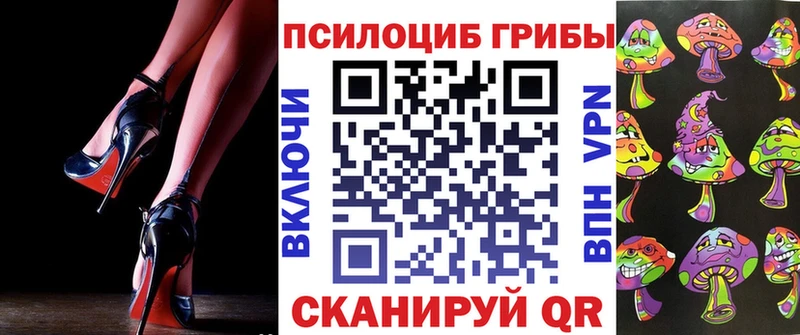 купить   Морозовск  Псилоцибиновые грибы мицелий 