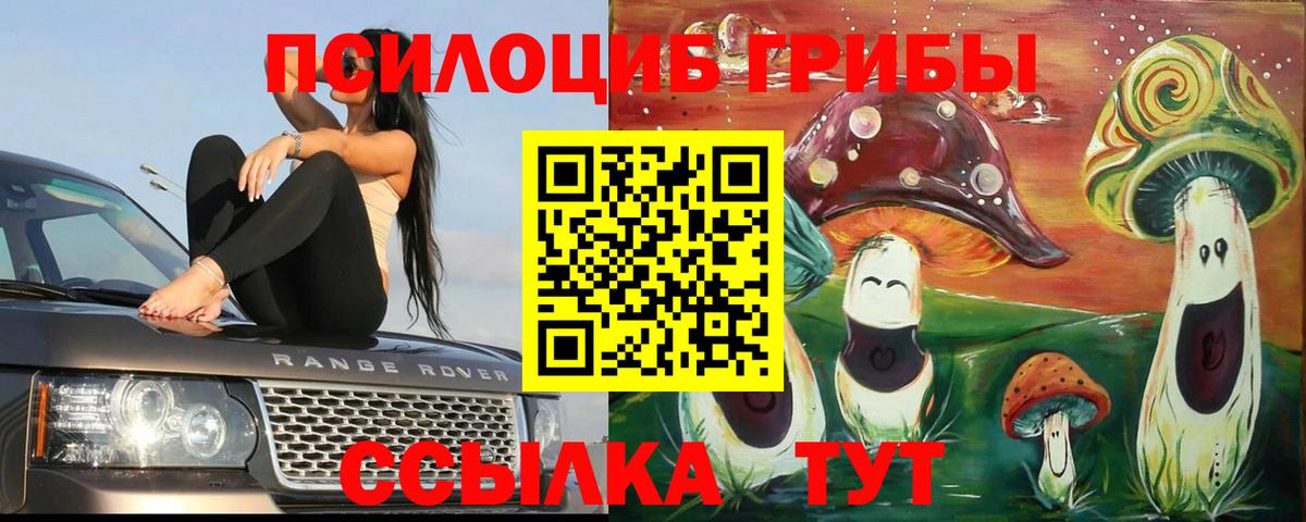 Псилоцибиновые грибы прущие грибы  Вход с VPN  Морозовск  Галлюциногенные грибы Cubensis 