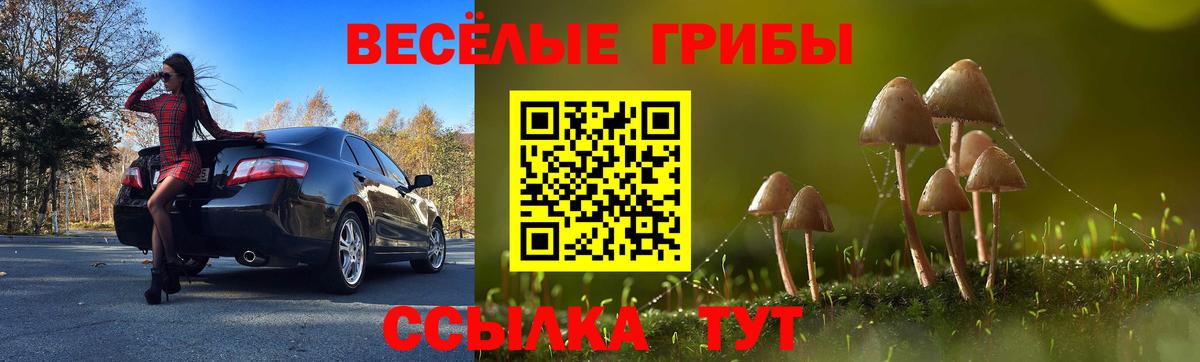 Галлюциногенные грибы Magic Shrooms Морозовск